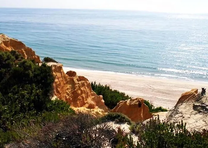 Casa John Lisboa-piscine Chauffee En Option *